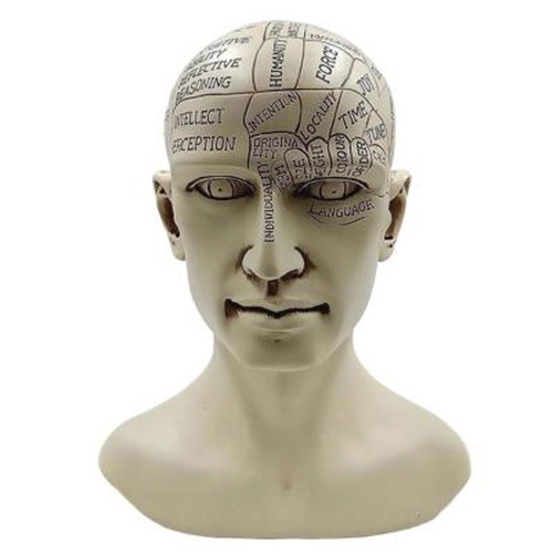 Phrenology human head - head, –